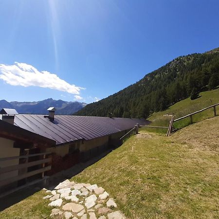 Restor Natura Malga Mondent Hotel Pracorno di Rabbi Eksteriør billede