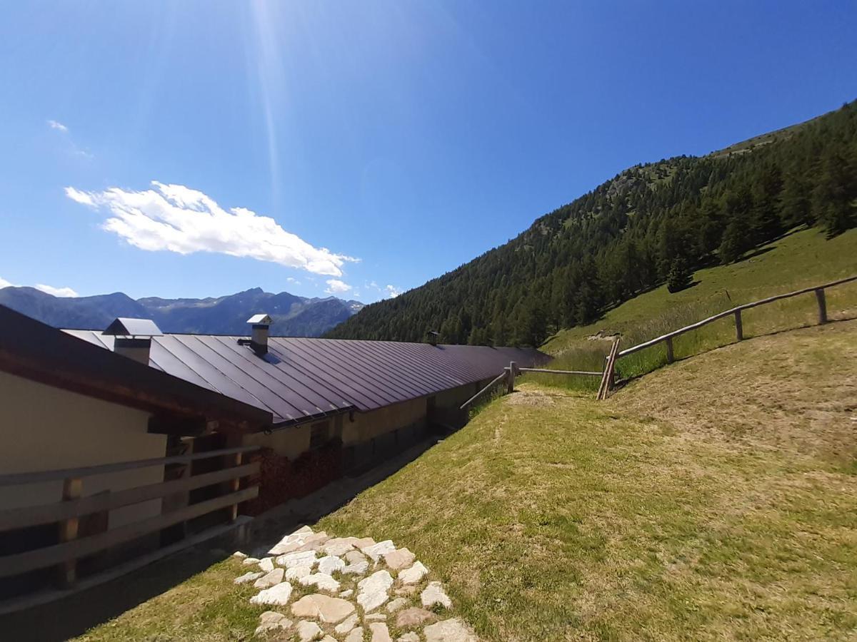 Restor Natura Malga Mondent Hotel Pracorno di Rabbi Eksteriør billede