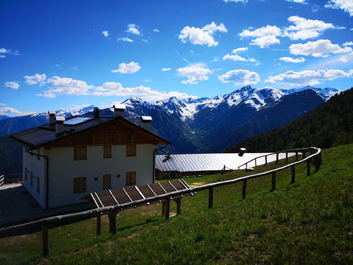 Restor Natura Malga Mondent Hotel Pracorno di Rabbi Eksteriør billede